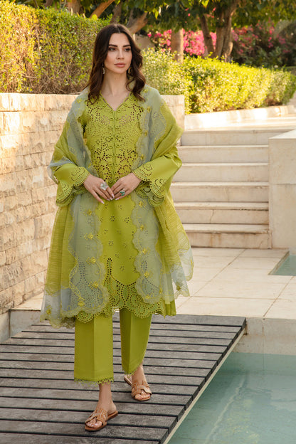 RR-2780-3 Piece - Unstitched Chicken Kari Embroidered Suit